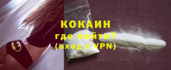 прущие грибы Гусев