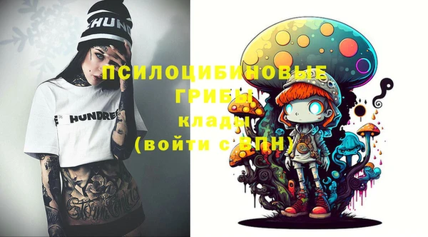 прущие грибы Гусев
